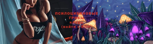 меф Осинники
