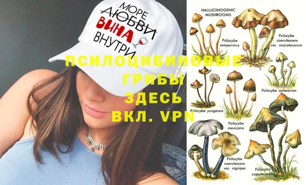 гидропоника Покров