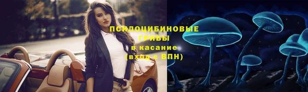 сатива Остров